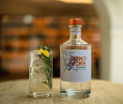 Domovina Slivovica Kniha + poh�r 52% 0,7l (dar�ekov� balenie kazeta)